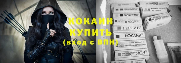 мяу мяу мука Няндома