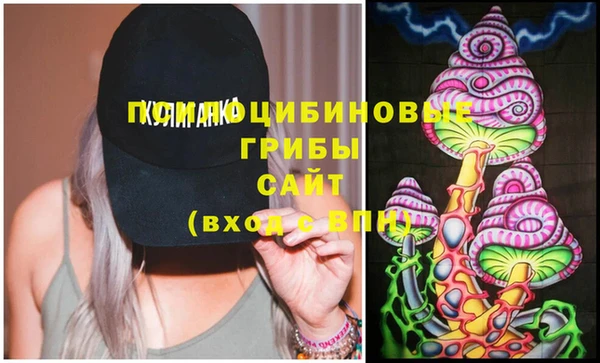 мяу мяу мука Няндома