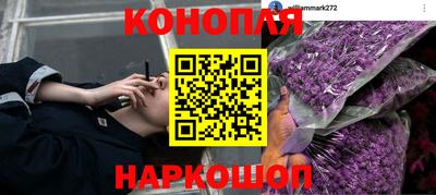 винт Обнинск