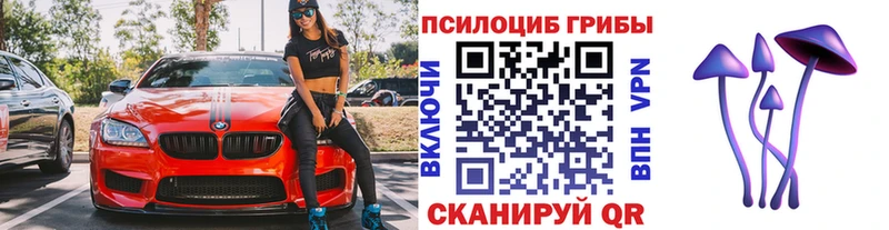 наркотики Иркутск Галлюциногенные грибы мицелий