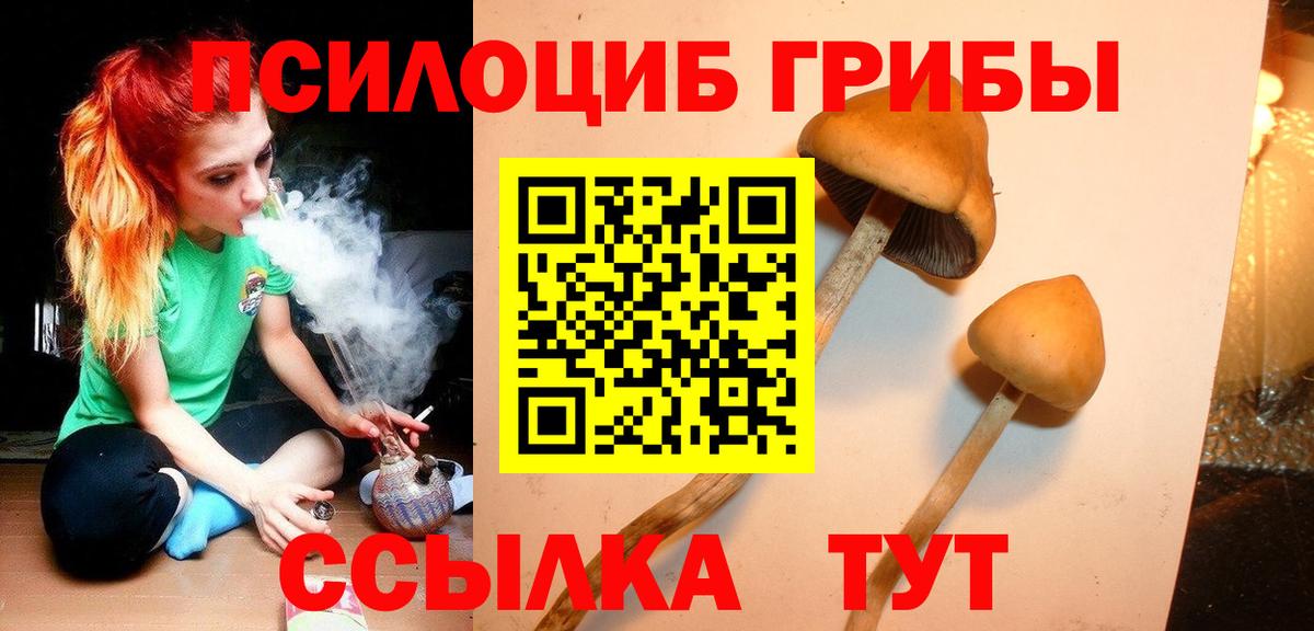 Псилоцибиновые грибы прущие грибы  Вход с VPN  Иркутск 
