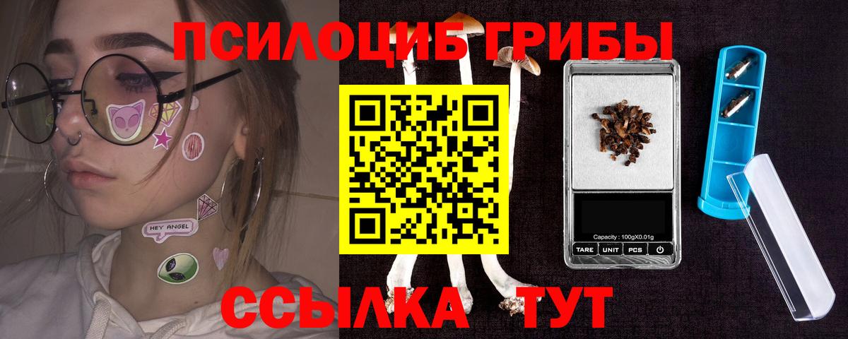 Псилоцибиновые грибы GOLDEN TEACHER Иркутск